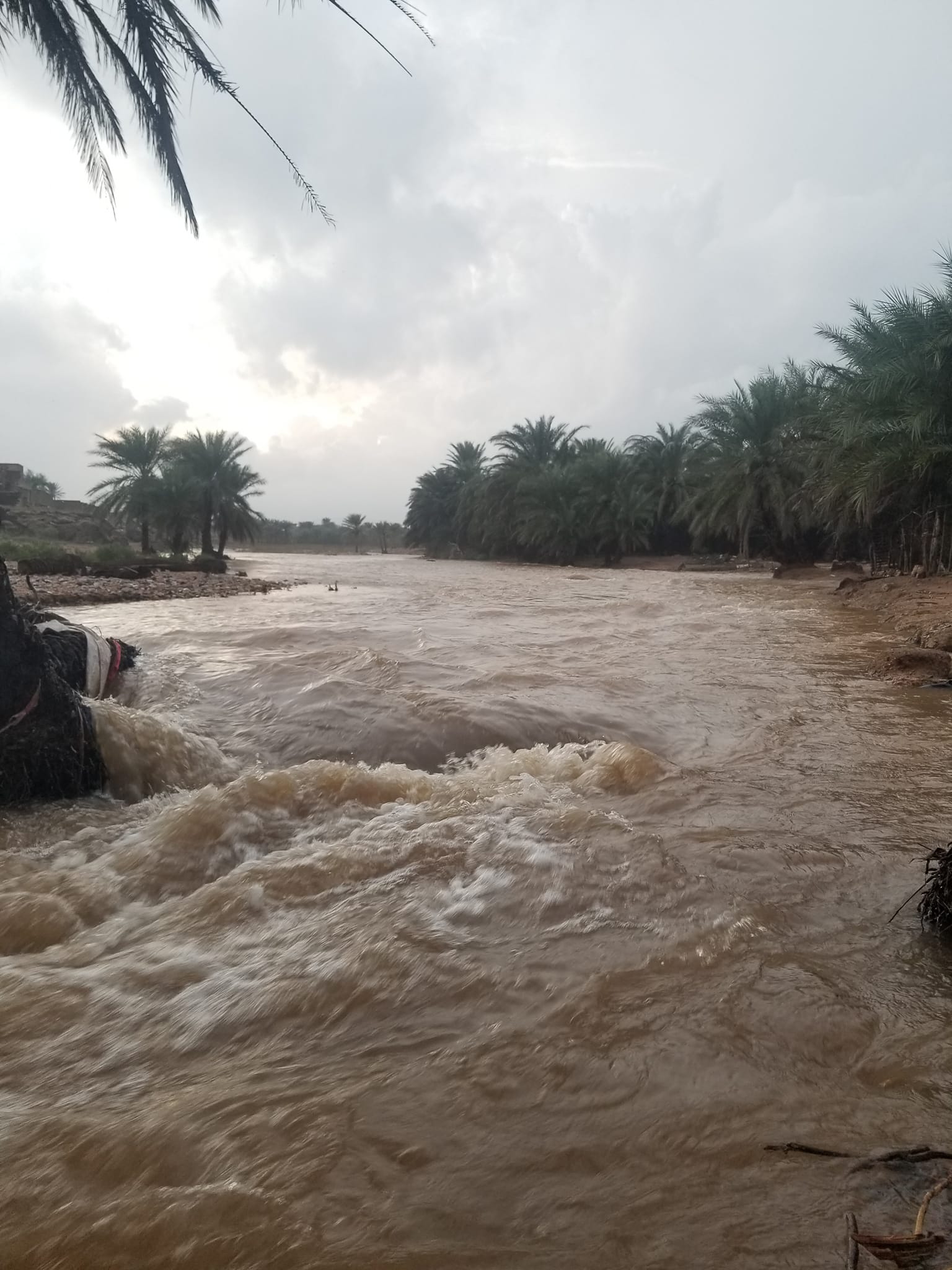 الأرصاد اليمني: هطول أمطار متفاوتة الشدة على عدة محافظات